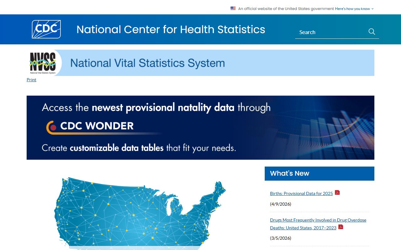 National Vital Statistics System showing death data reporting standards